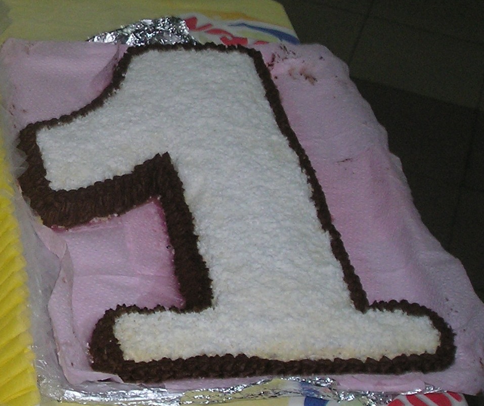 Torta pan di spagna con crema al cioccolato e decorata con polvere di cocco fresco